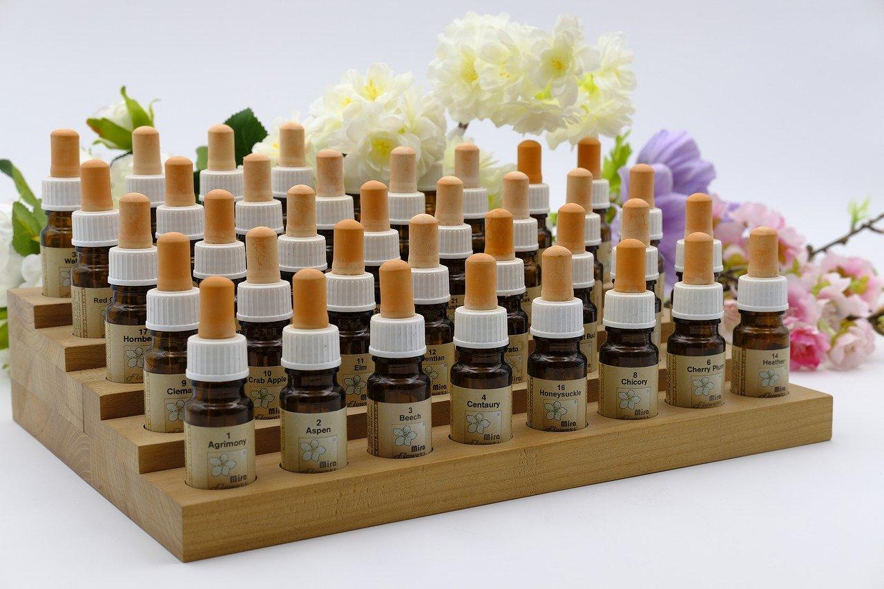 Essential Zen focuses on Homeopathy, which is a medical system based on the belief that the body can cure itself.
