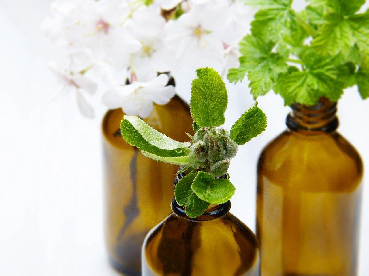Essential Zen focuses on Homeopathy, which is a medical system based on the belief that the body can cure itself.